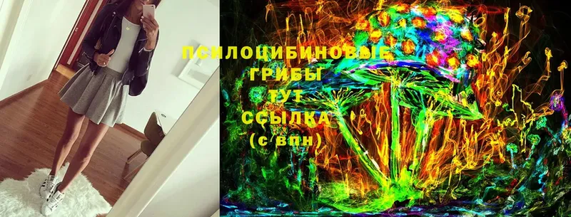 blacksprut маркетплейс  Калач  Псилоцибиновые грибы Psilocybe 